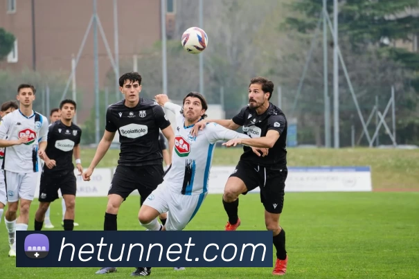 河豚直播官网平台生态图